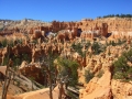 21avr_10.31 - Bryce Canyon.jpg